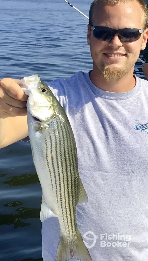 Salty Dawg Fishing Charters – Wilmington charter image 3