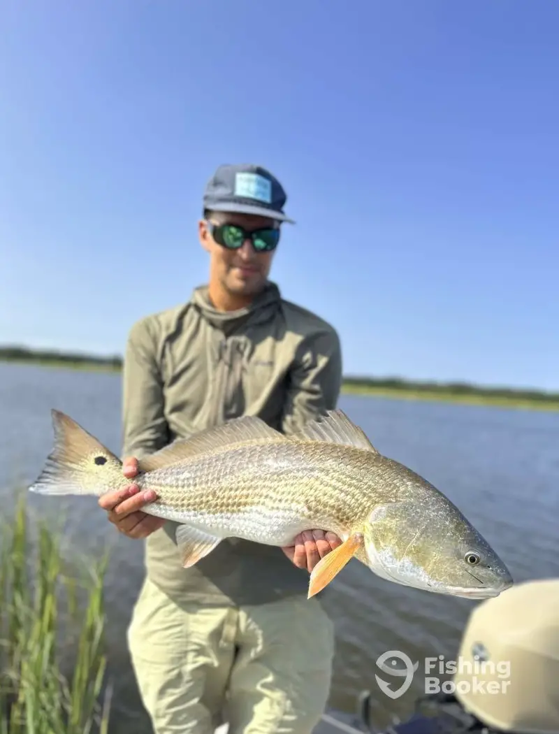 Threadfin Guide Service