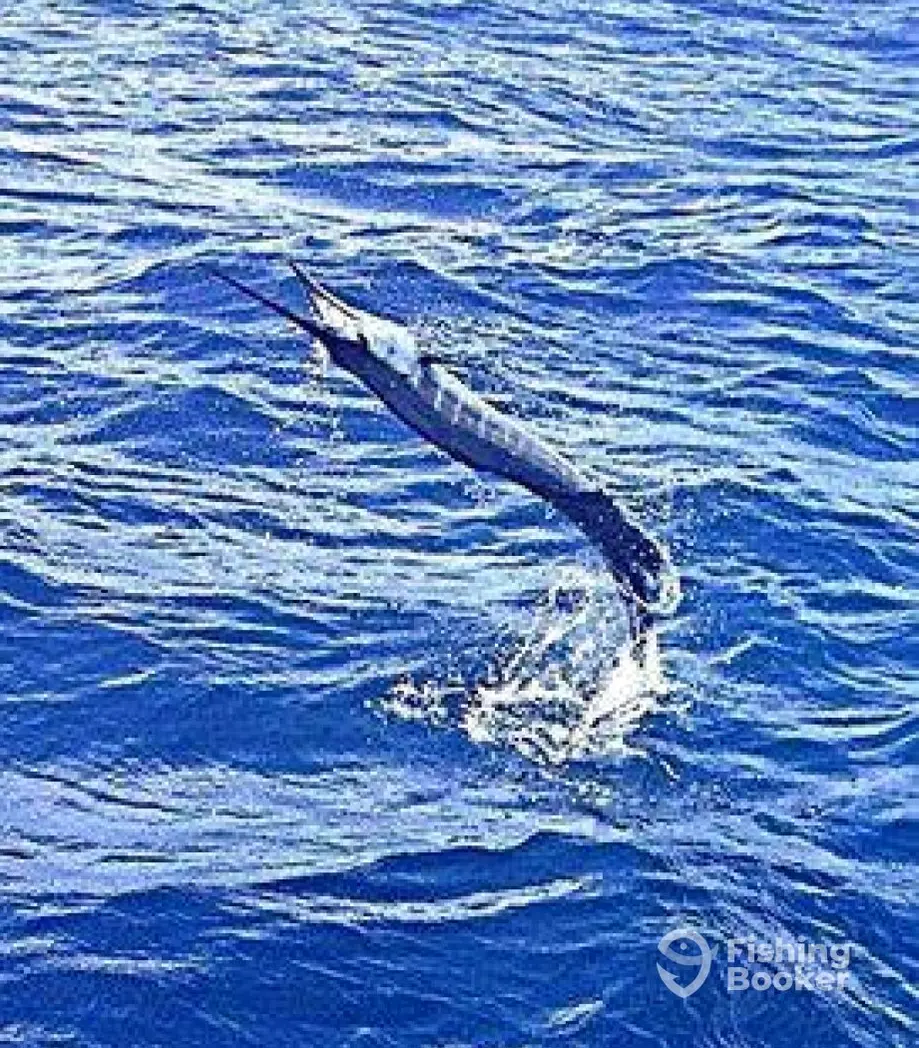 Clearlyhooked Fishing Charters charter image 2