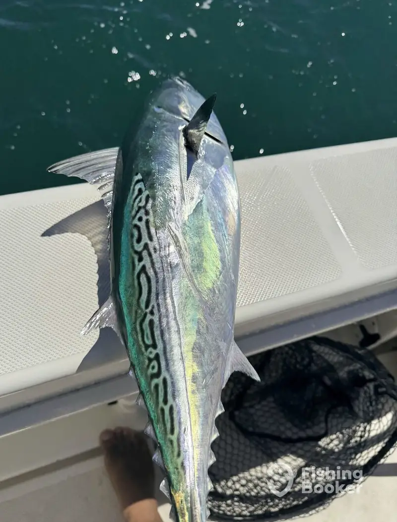 Outside Guide Service charter image 6