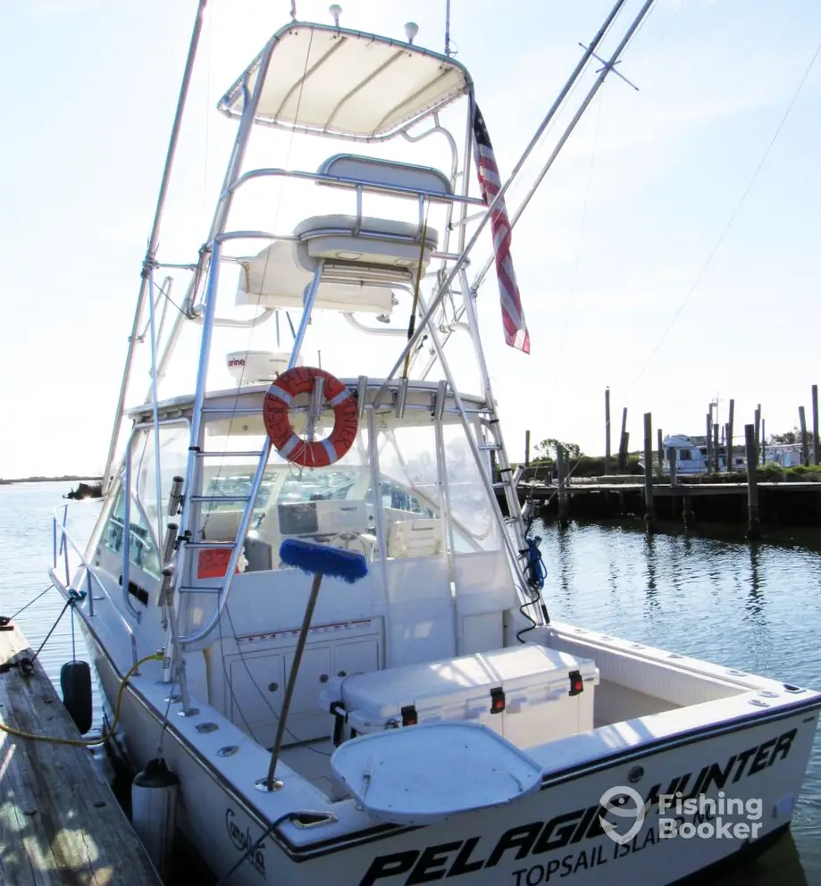 charter image 5