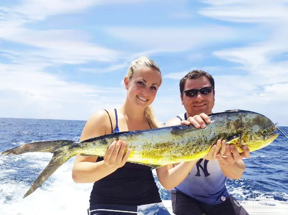 charter image 6