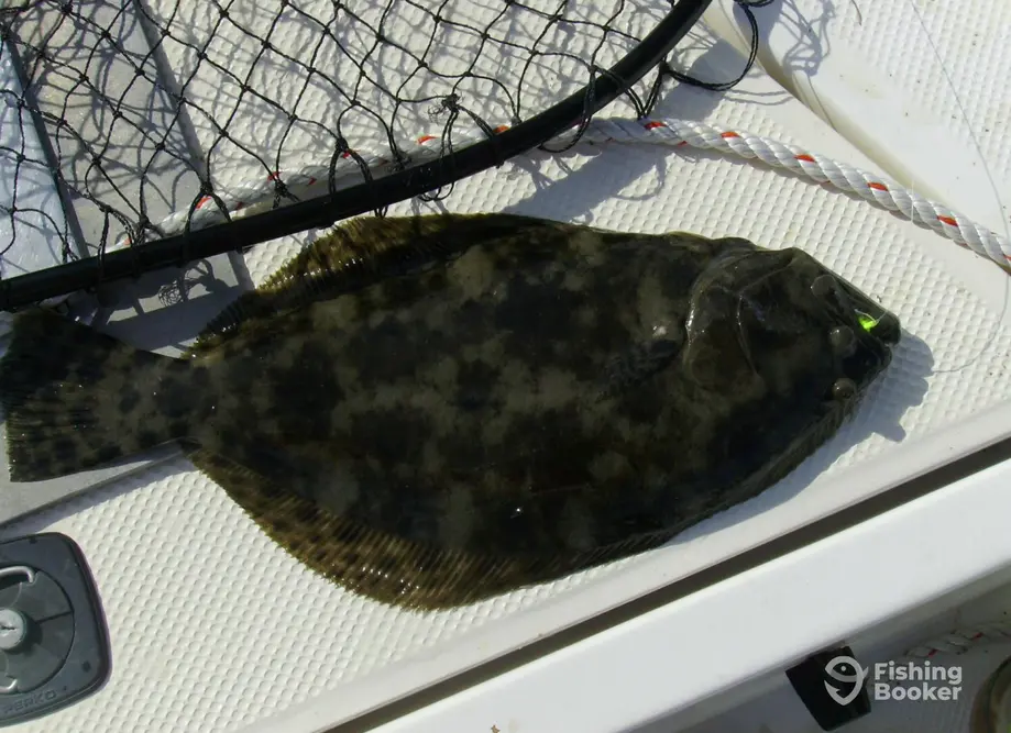 charter image 5